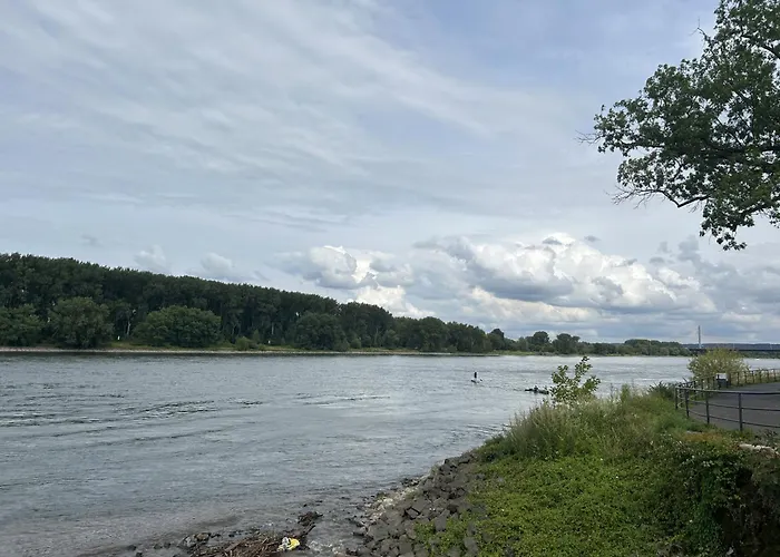 Private Zimmer Mit Kuechennutzung Und In Rheinnaehe Affittacamere *